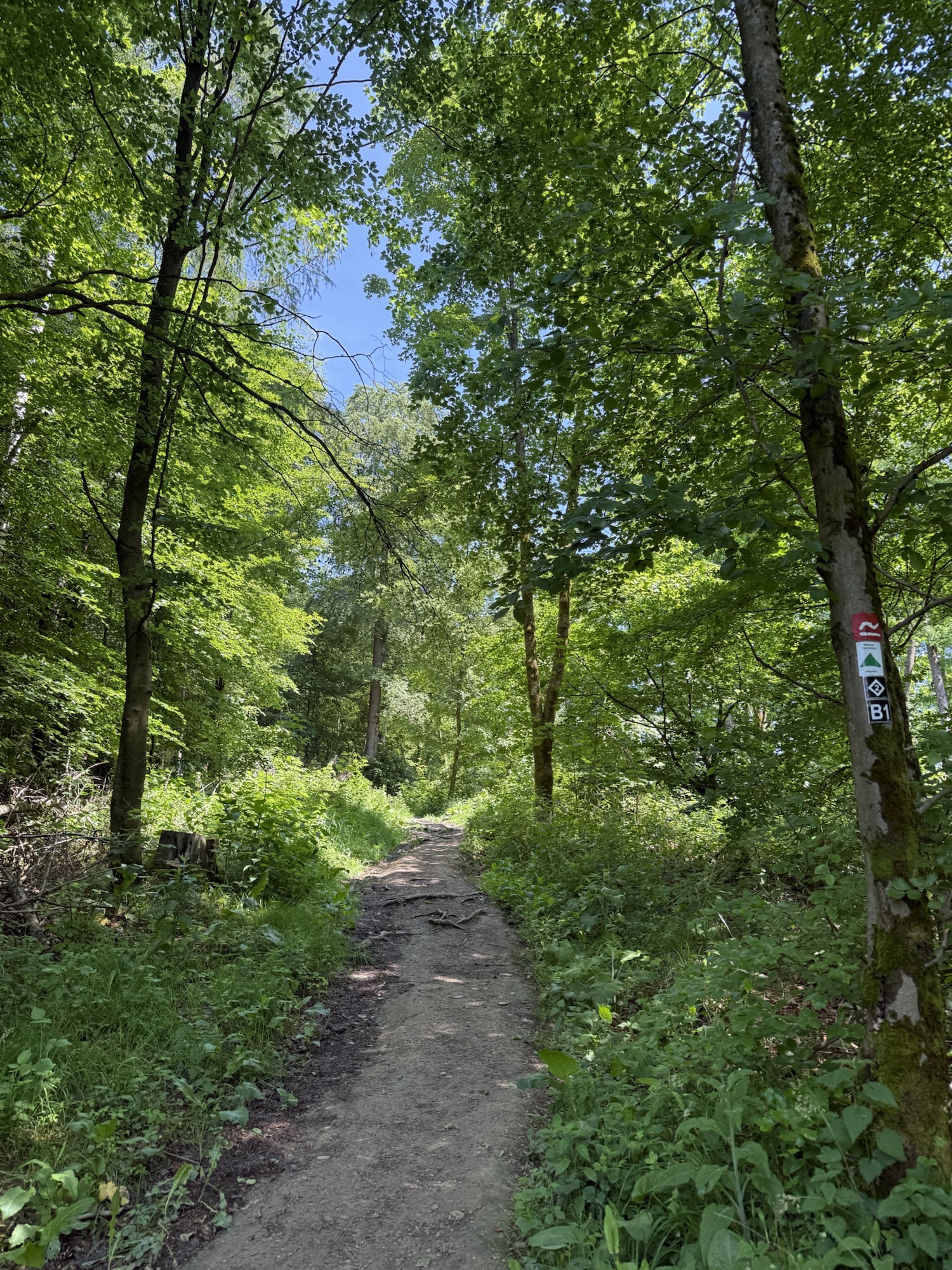 Rothaarsteig – der erste Tag