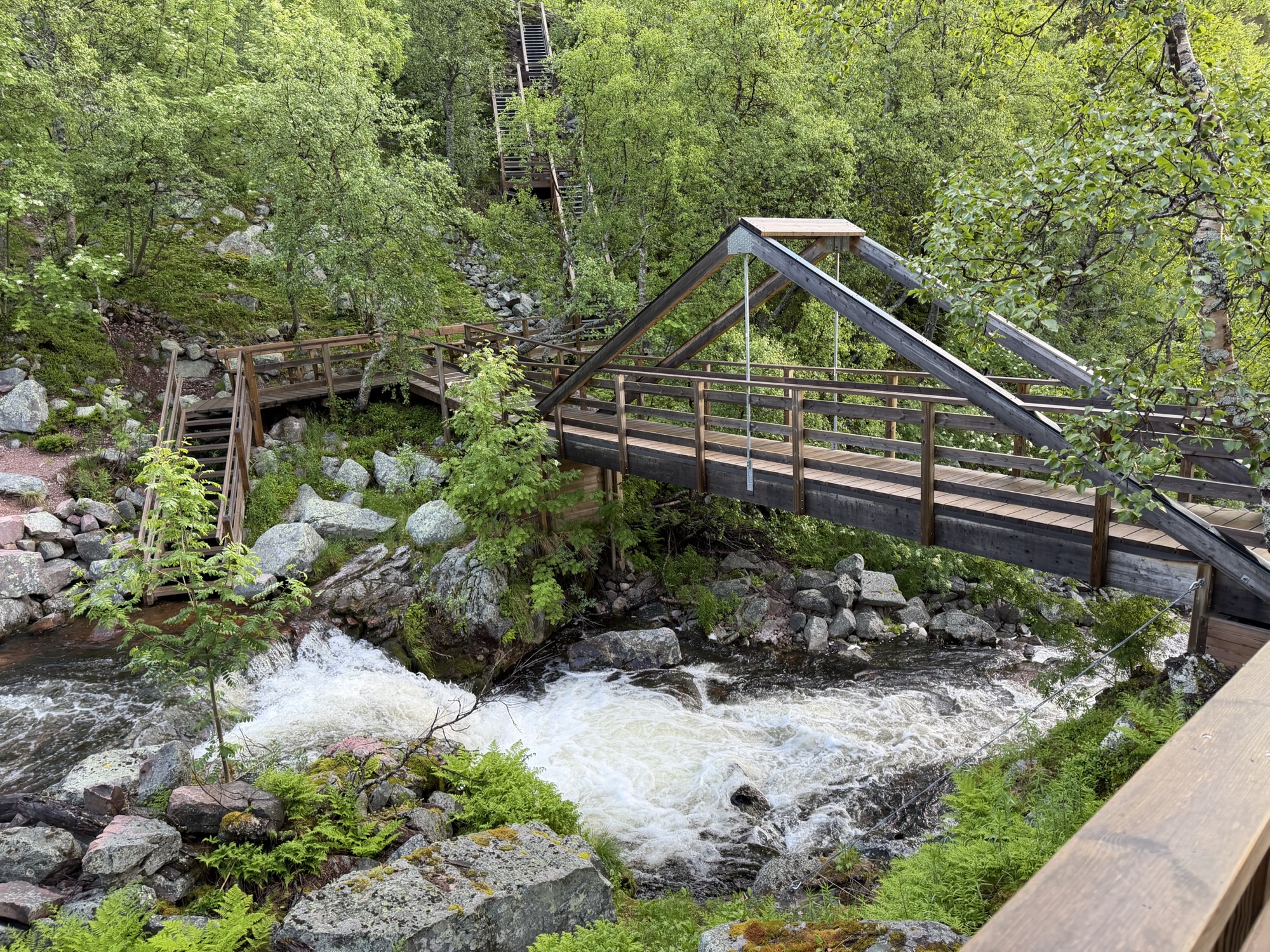 Schweden ’26 – Tag 4: Fulufjället → Ristafallet (Hålland)